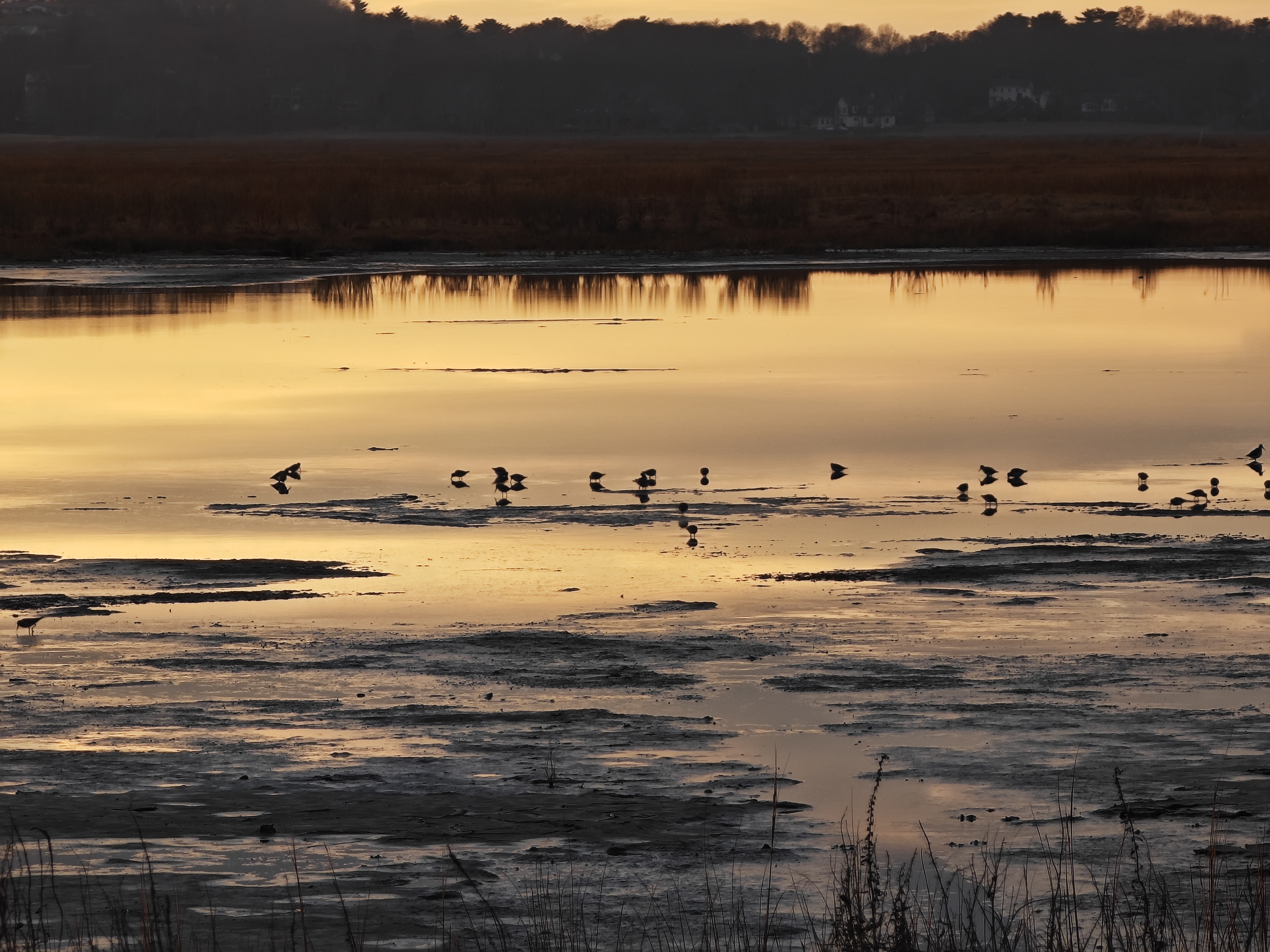 Outside research photo 4